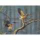 WATERMARK GREETING CARD KINGFISHERS IN FLIGHT